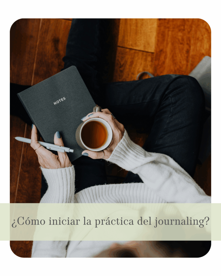 guia-de-journaling