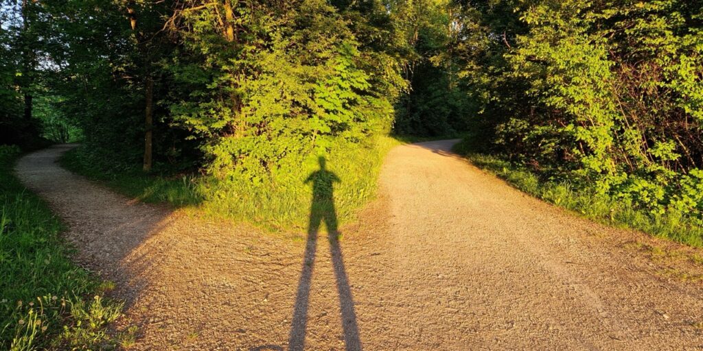 conciencia-emocional